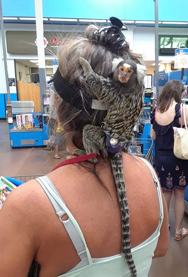 daily picdump 99 pics 49.html - 99 HD Photos | Premium Gallery 2018