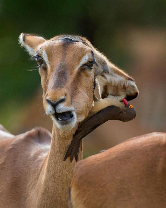 daily picdump 99 pics 49.html - 99 HD Photos | Premium Gallery 2018