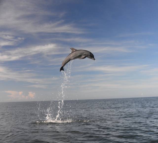 morning picdump 51 pics 26.html - 51 HD Photos | Premium Gallery 2018