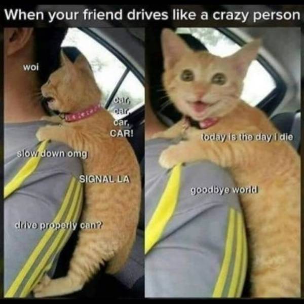 funny picdump 54 pics 20.html - 54 HD Photos | Premium Gallery 2018