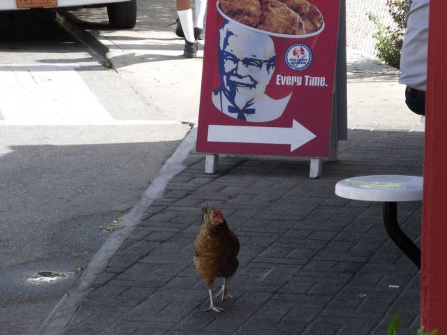 daily picdump 94 pics 14.html - 94 HD Photos | Premium Gallery 2018