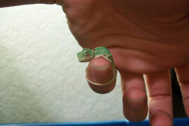 daily picdump 94 pics 14.html - 94 HD Photos | Premium Gallery 2018