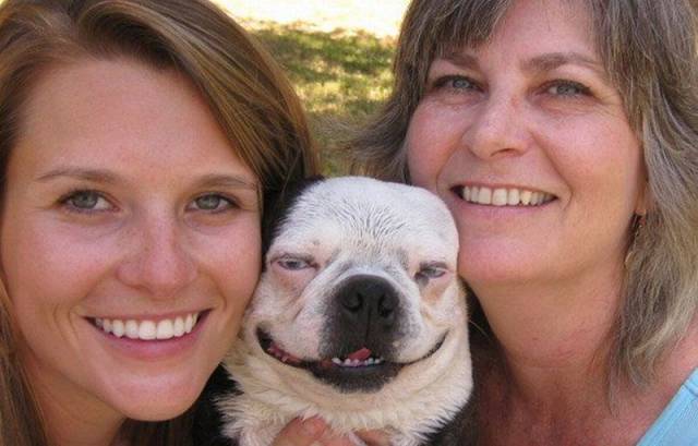 daily picdump 94 pics 14.html - 94 HD Photos | Premium Gallery 2018