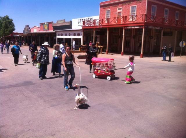 daily picdump 94 pics 14.html - 94 HD Photos | Premium Gallery 2018