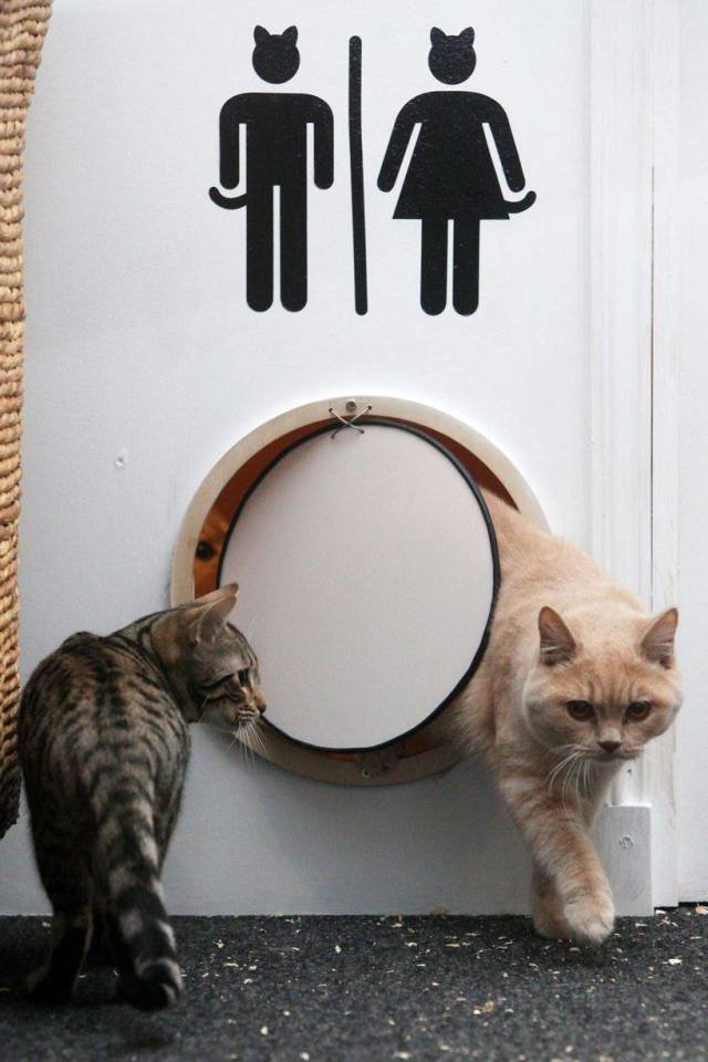 daily picdump 94 pics 14.html - 94 HD Photos | Premium Gallery 2018