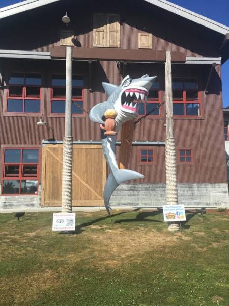 Daily Picdump [WEEKEND EDITION]