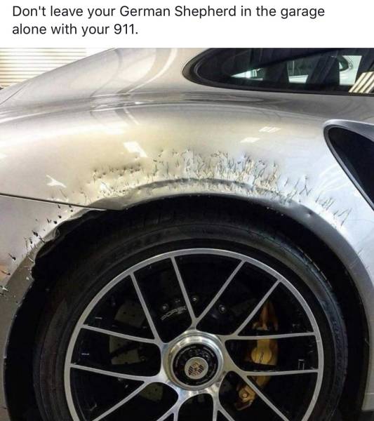 daily picdump weekend edition 51 pics 7.html - 51 HD Photos | Premium Gallery 2018