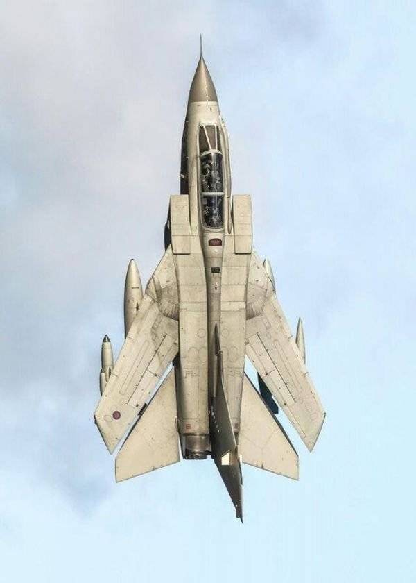 daily picdump weekend edition 51 pics 7.html - 51 HD Photos | Premium Gallery 2018