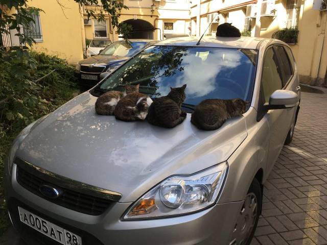 daily picdump 100 pics 49.html - 100 HD Photos | Premium Gallery 2018