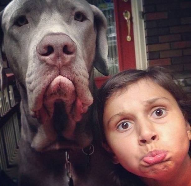 daily picdump 100 pics 49.html - 100 HD Photos | Premium Gallery 2018