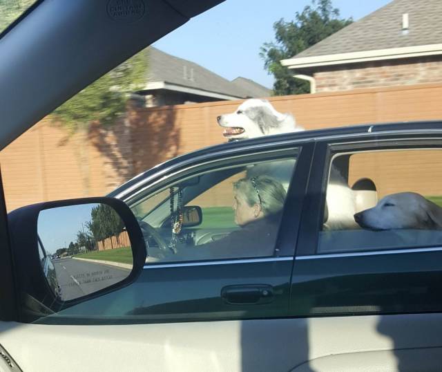 daily picdump 100 pics 49.html - 100 HD Photos | Premium Gallery 2018