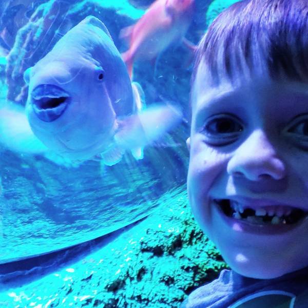 daily picdump 100 pics 49.html - 100 HD Photos | Premium Gallery 2018