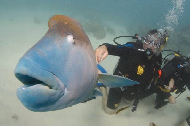 daily picdump 100 pics 49.html - 100 HD Photos | Premium Gallery 2018