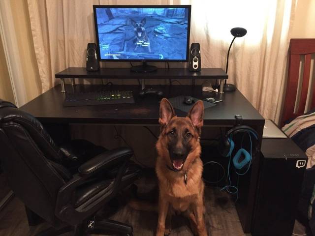 daily picdump 100 pics 49.html - 100 HD Photos | Premium Gallery 2018