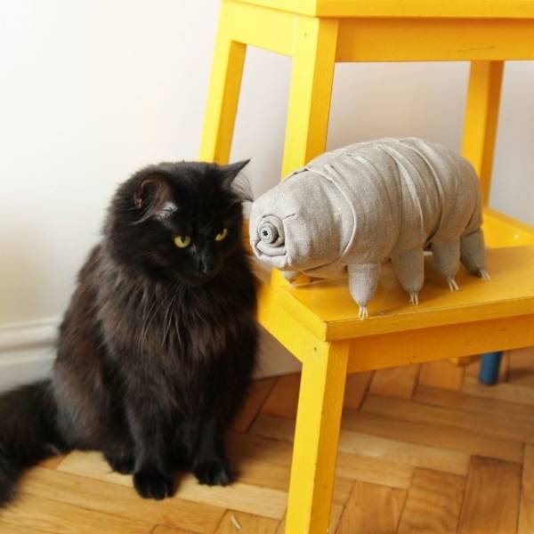 daily picdump 100 pics 49.html - 100 HD Photos | Premium Gallery 2018