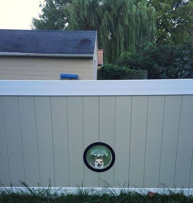 daily picdump 100 pics 49.html - 100 HD Photos | Premium Gallery 2018