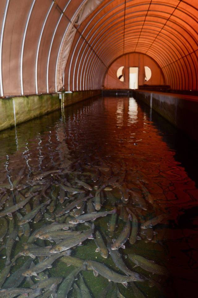 daily picdump 100 pics 49.html - 100 HD Photos | Premium Gallery 2018