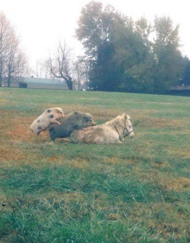 daily picdump 100 pics 49.html - 100 HD Photos | Premium Gallery 2018