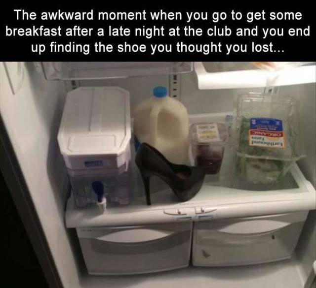 funny picdump 51 pics 1.html - 51 HD Photos | Premium Gallery 2018