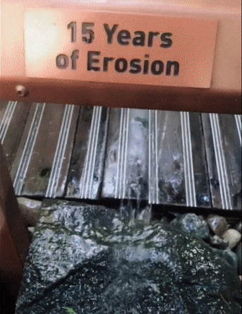 Fantastic GIFs Showing Things We Don’t See Every Day