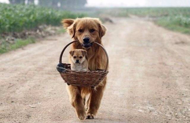 daily picdump 93 pics 19.html - 93 HD Photos | Premium Gallery 2018