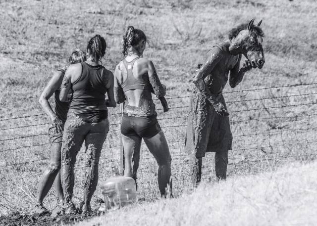 daily picdump 93 pics 19.html - 93 HD Photos | Premium Gallery 2018