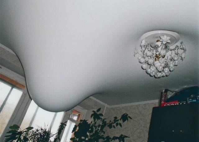 daily picdump 93 pics 19.html - 93 HD Photos | Premium Gallery 2018