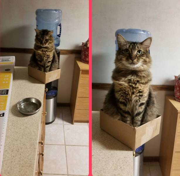 daily picdump 93 pics 19.html - 93 HD Photos | Premium Gallery 2018