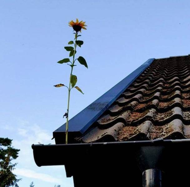 daily picdump 93 pics 19.html - 93 HD Photos | Premium Gallery 2018