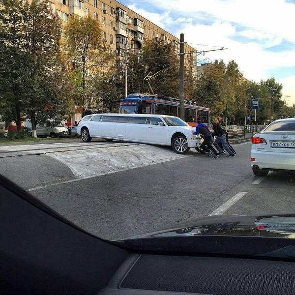 daily picdump 93 pics 19.html - 93 HD Photos | Premium Gallery 2018