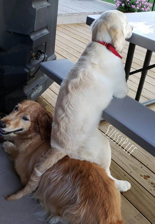 daily picdump 93 pics 19.html - 93 HD Photos | Premium Gallery 2018