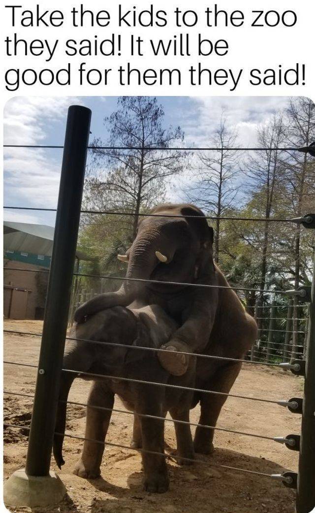 daily picdump 93 pics 19.html - 93 HD Photos | Premium Gallery 2018