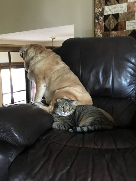 morning picdump 51 pics 2.html - 51 HD Photos | Premium Gallery 2018