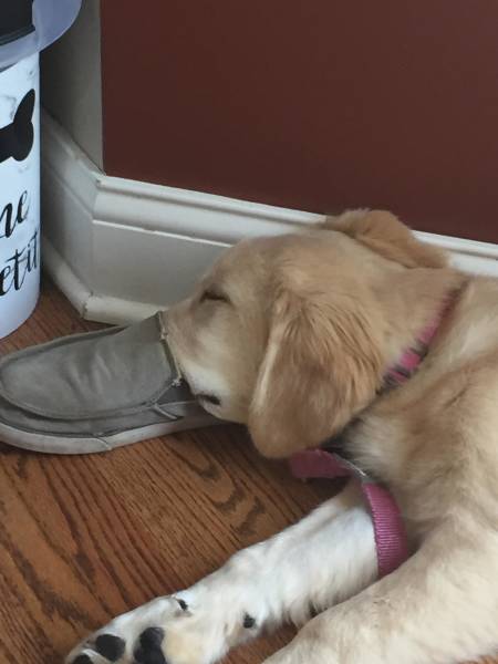 morning picdump 51 pics 2.html - 51 HD Photos | Premium Gallery 2018