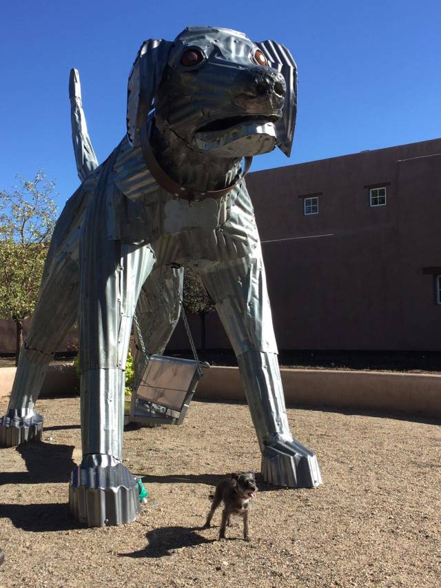 morning picdump 51 pics 2.html - 51 HD Photos | Premium Gallery 2018