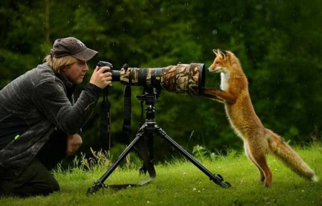 daily picdump 99 pics 2.html - 99 HD Photos | Premium Gallery 2018