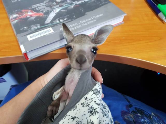 daily picdump 99 pics 2.html - 99 HD Photos | Premium Gallery 2018