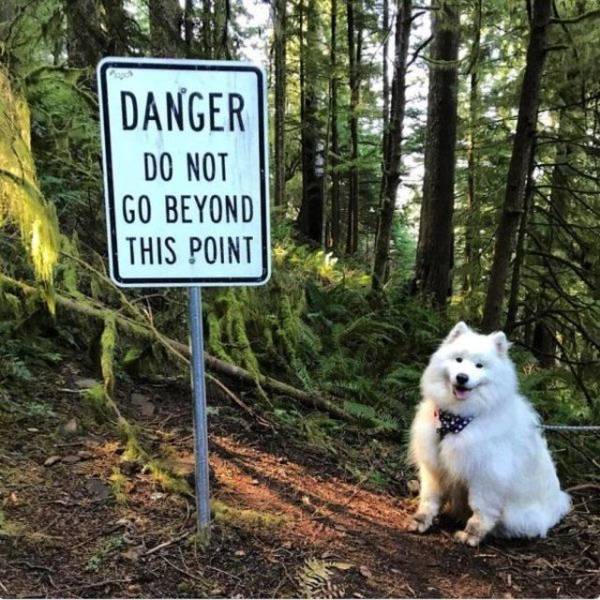 daily picdump 99 pics 2.html - 99 HD Photos | Premium Gallery 2018