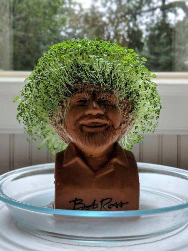 daily picdump 99 pics 2.html - 99 HD Photos | Premium Gallery 2018