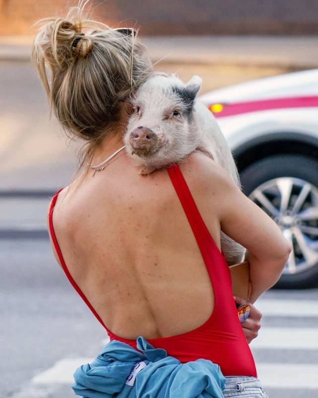 daily picdump 99 pics 2.html - 99 HD Photos | Premium Gallery 2018