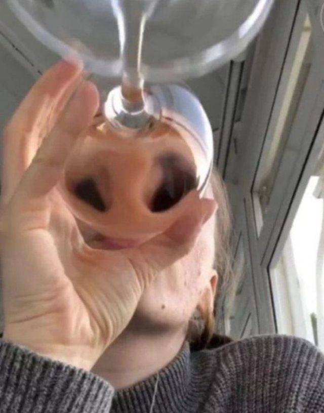 daily picdump 99 pics 2.html - 99 HD Photos | Premium Gallery 2018