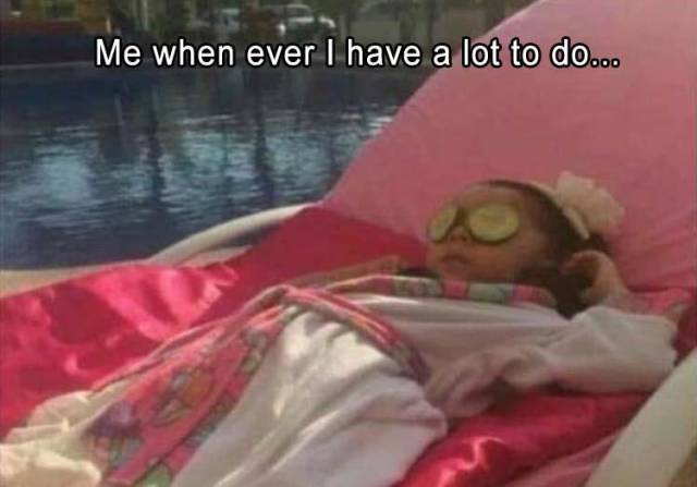 funny picdump 52 pics 20.html - 52 HD Photos | Premium Gallery 2018