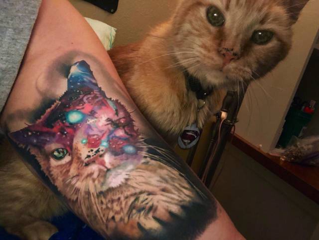 morning picdump 51 pics 23.html - 51 HD Photos | Premium Gallery 2018