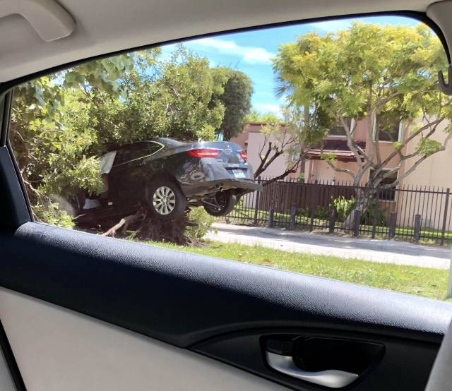 morning picdump 51 pics 23.html - 51 HD Photos | Premium Gallery 2018