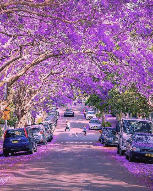 morning picdump 51 pics 23.html - 51 HD Photos | Premium Gallery 2018