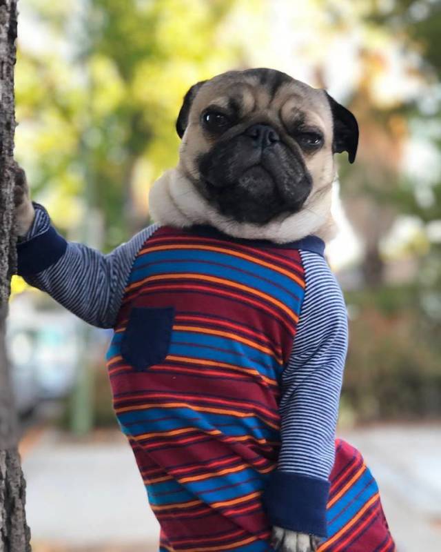 morning picdump 51 pics 23.html - 51 HD Photos | Premium Gallery 2018