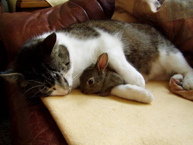 daily picdump 93 pics 16.html - 93 HD Photos | Premium Gallery 2018
