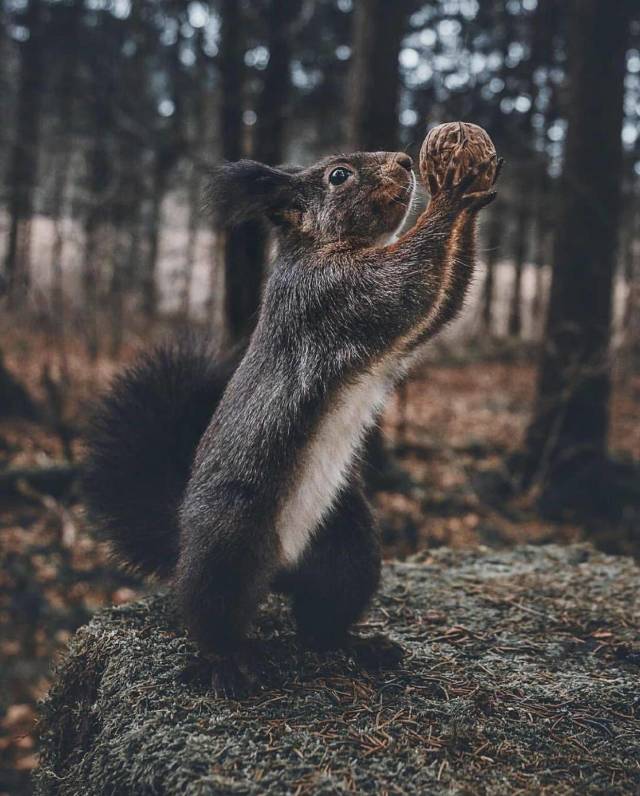 daily picdump 93 pics 16.html - 93 HD Photos | Premium Gallery 2018