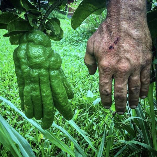 morning picdump 51 pics 17.html - 51 HD Photos | Premium Gallery 2018