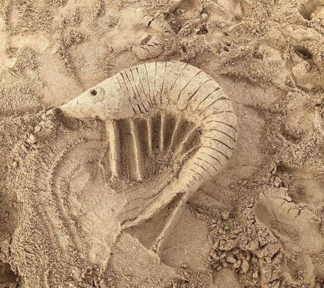 morning picdump 51 pics 17.html - 51 HD Photos | Premium Gallery 2018